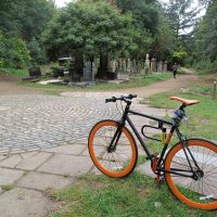 #026 Abney Park Cemetery