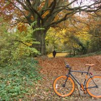 #056 Hampstead Heath in Autumn