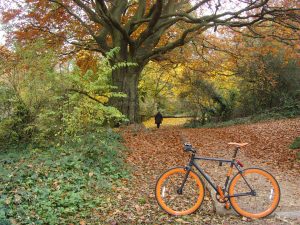 Read more about the article #056 Hampstead Heath in Autumn