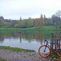 #058 Highgate Ponds