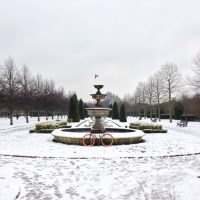 #072 Regent’s park in the Winter