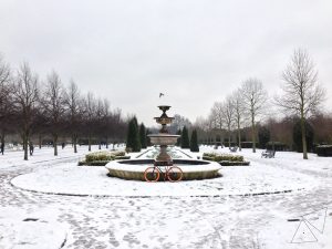 Read more about the article #072 Regent’s park in the Winter