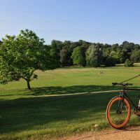 #156 Hampstead Heath in Summer