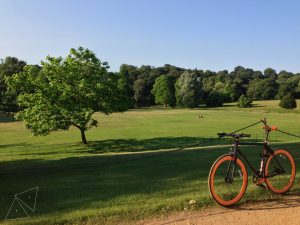 Read more about the article #156 Hampstead Heath in Summer