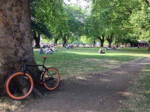 Read more about the article #167 London Fields