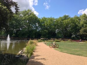 Read more about the article #183 Bishop’s Park