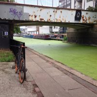 #196 Algae on Regent’s Canal