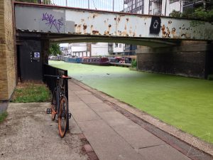 Read more about the article #196 Algae on Regent’s Canal