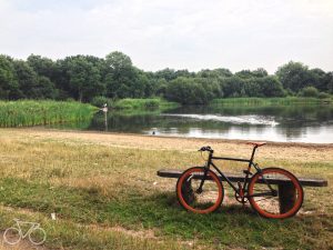 Read more about the article #201 Heronry Pond