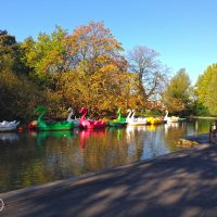 #255 Boating Lake at Alexandra Palace