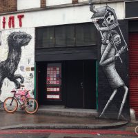 #267 Roa and Phlegm