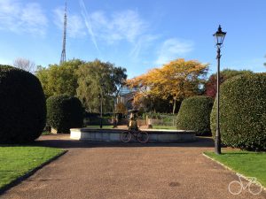 Read more about the article #268 Alexandra Park