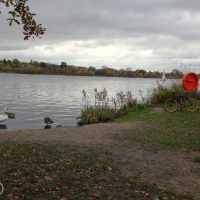 #299 The Welsh Harp Open Space