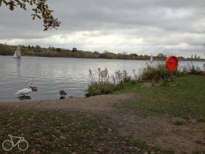 Read more about the article #299 The Welsh Harp Open Space